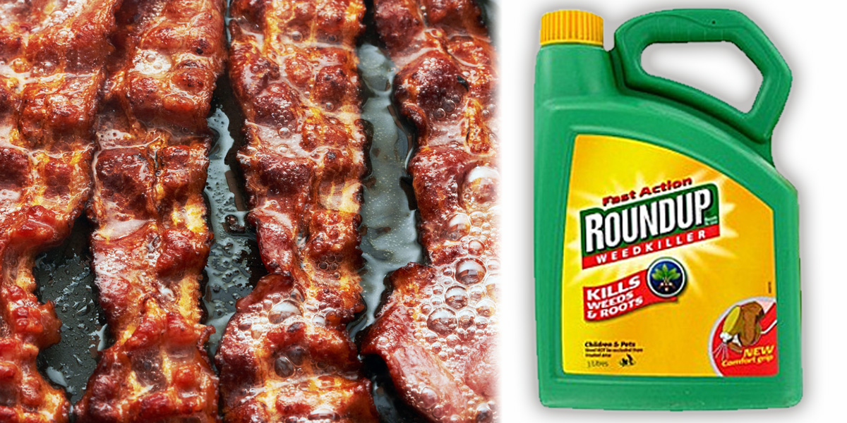 Roundup Glyphosate and Bacon