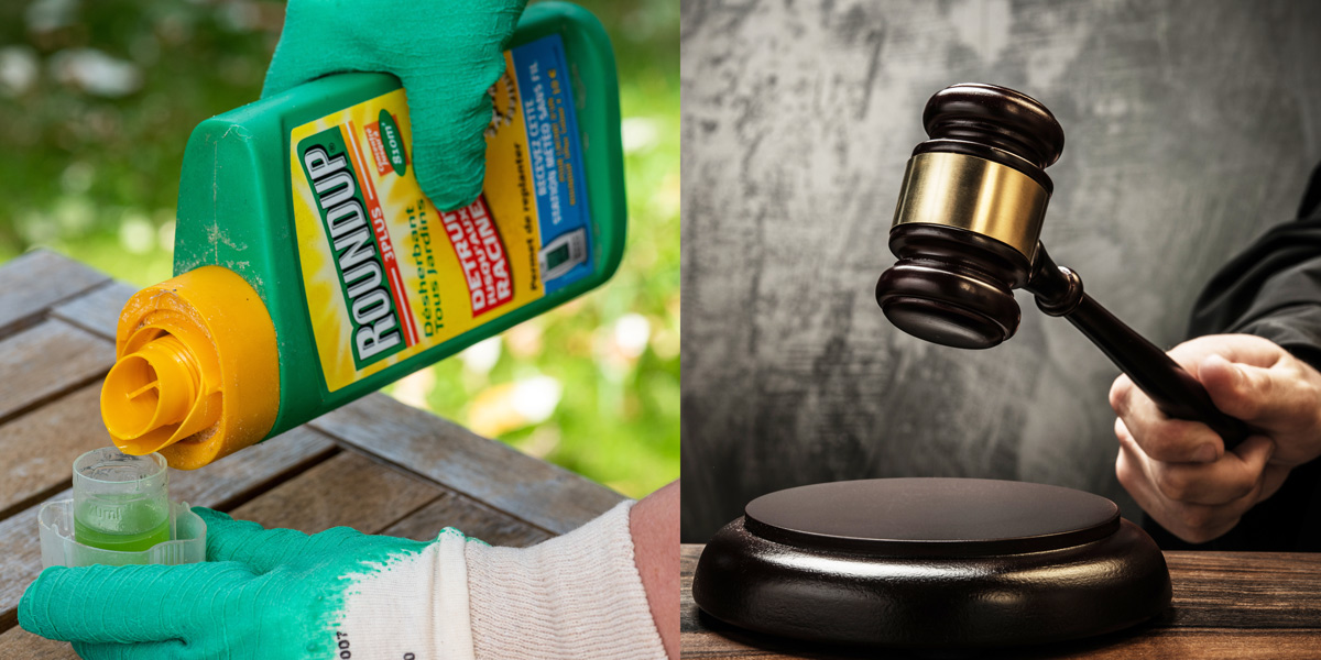 Roundup herbicide weedkiller and Judges hammer