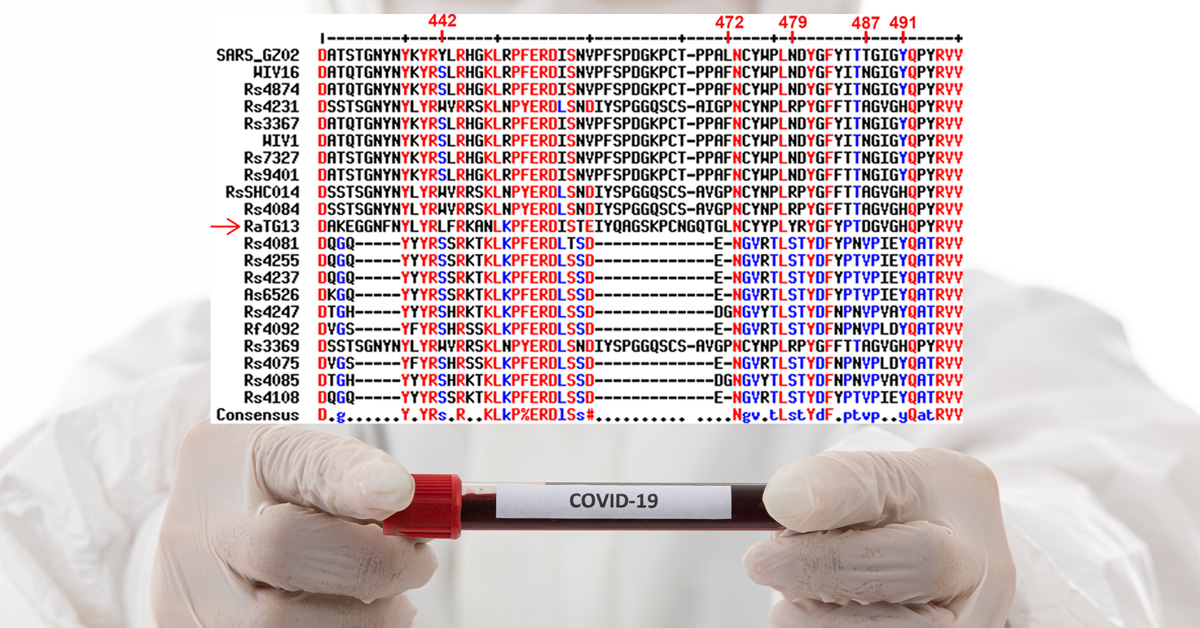 Scientist holding Covid-19 test tube