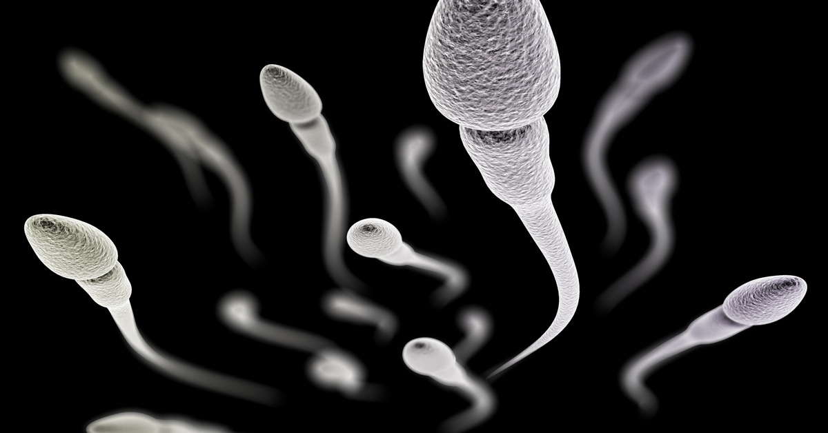 Sperm illustration