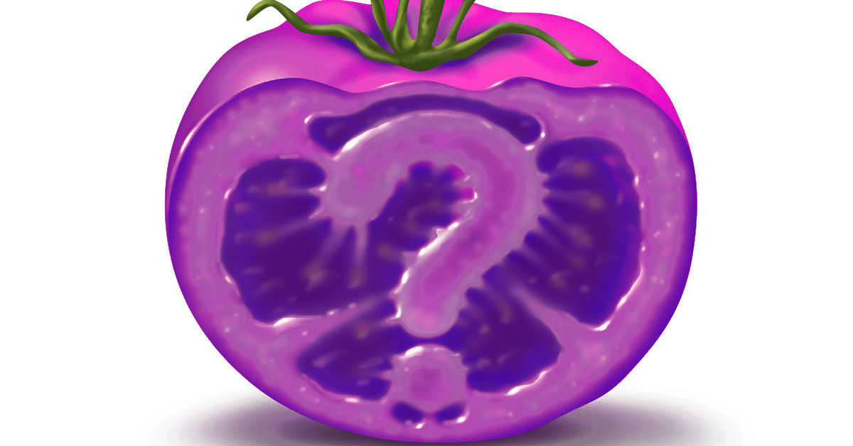 Purple Tomato