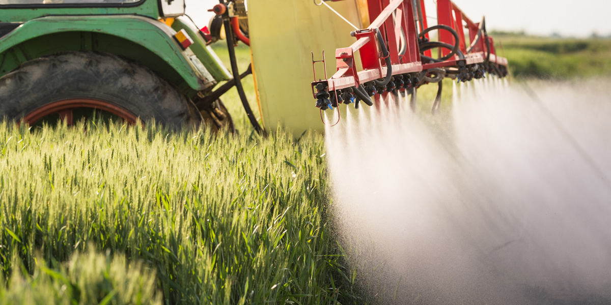 Tractor Pesticide spraying wheat field