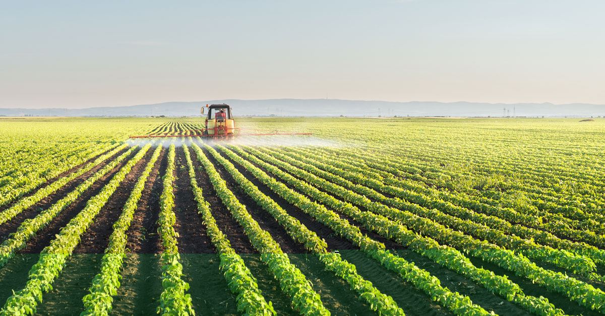 Tractor spraying soybean field