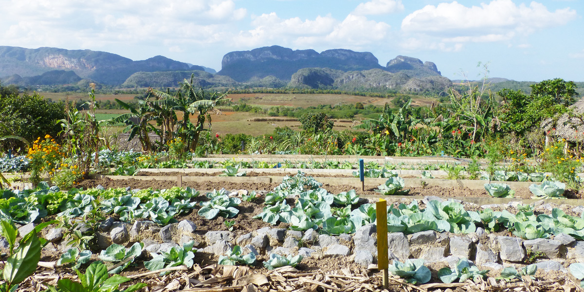 Vallee de Vinales-Finca - agroecology project