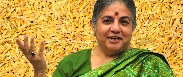 Vandana Shiva on Golden Rice Background