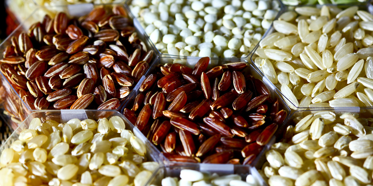 Varieties of rice grains