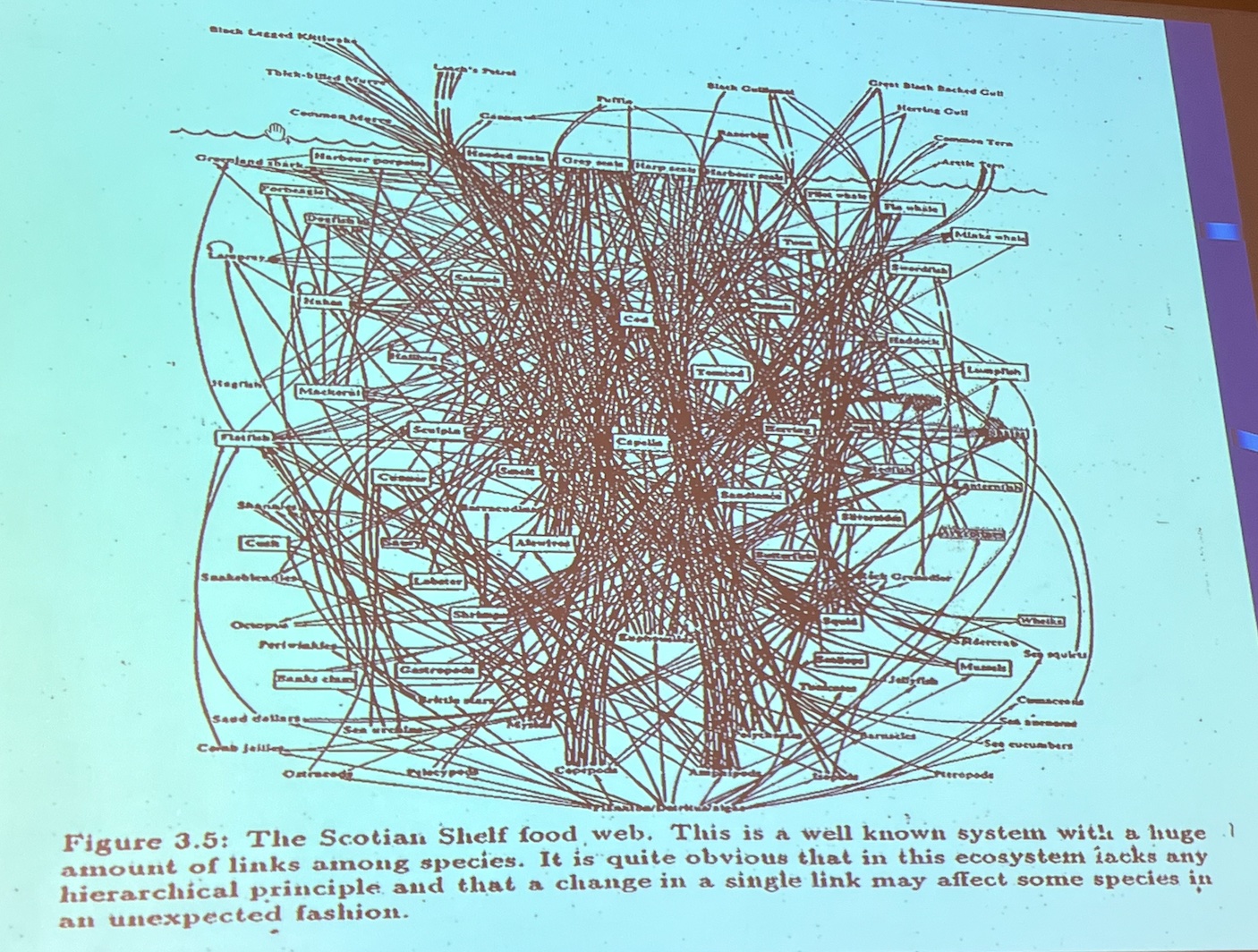 biological systems complexity