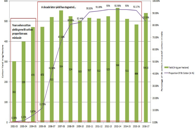 bt cotton yield stagnation