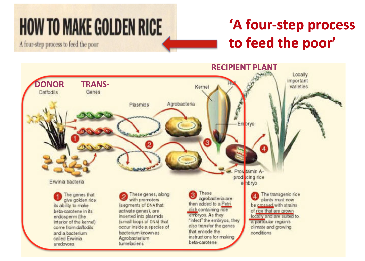 Four step process to feed poor