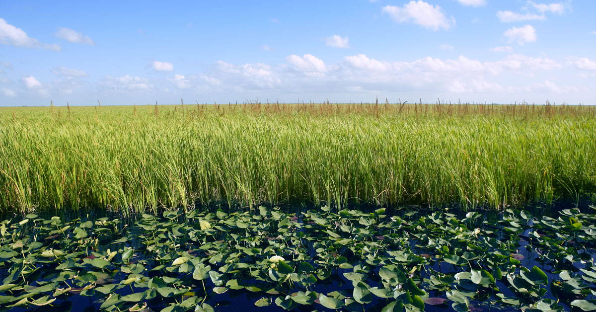 national wildlife refuge