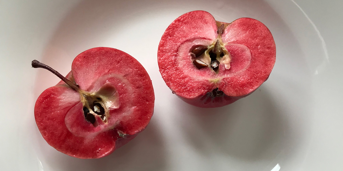 red flesh apples