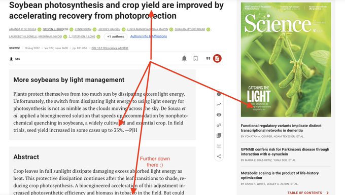 soybean photosynthesis crop yield