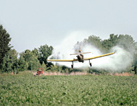 Mosquito Fumigation