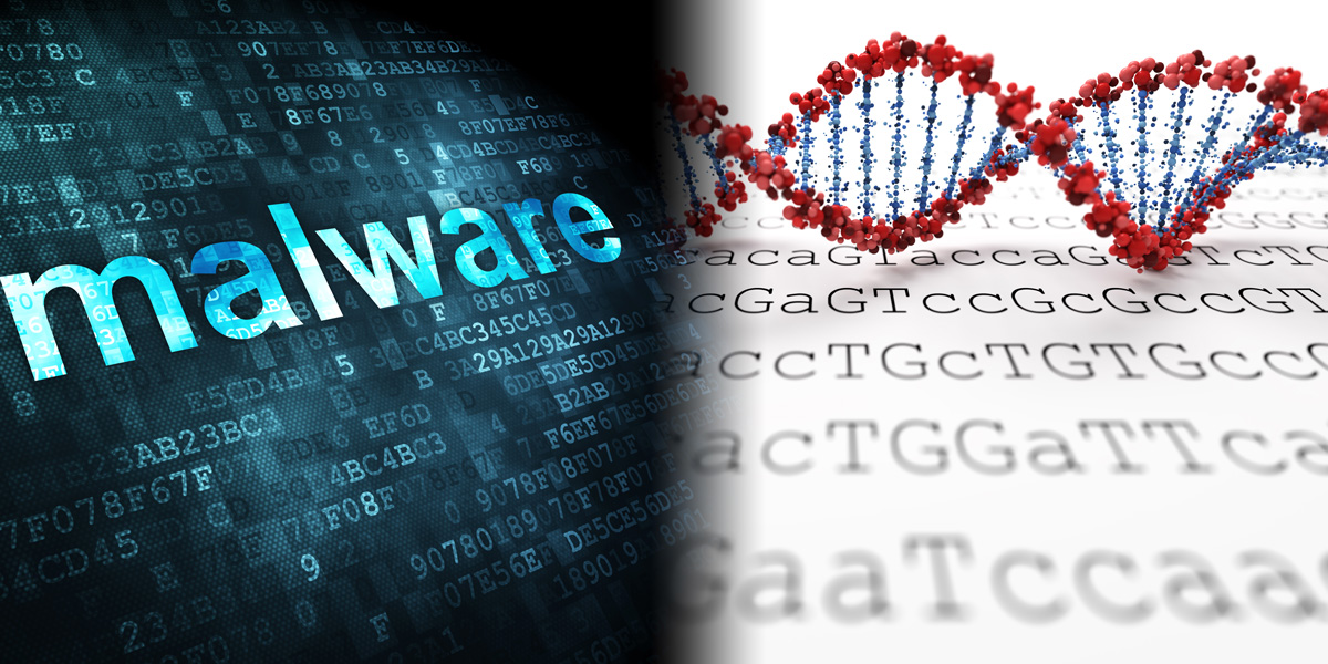 Maleware and DNA Sequence Maleware and DNA Sequence